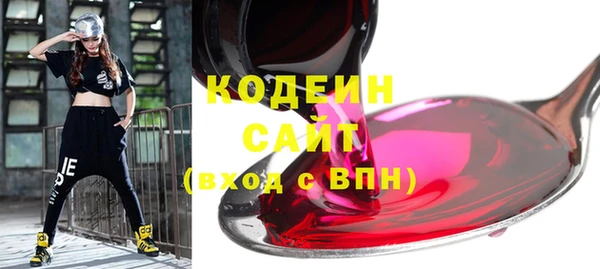 крисы Алагир