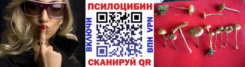 Псилоцибиновые грибы мухоморы  Ветлуга 