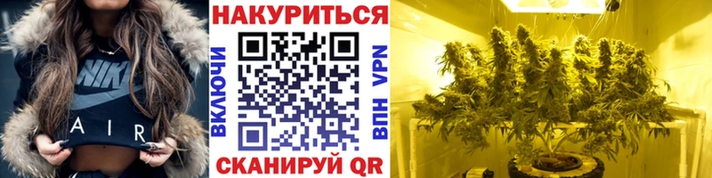 Бошки марихуана AK-47  продажа наркотиков  Ветлуга 